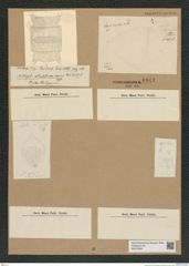 Diatomeae indet. Zeichnungen Sammlung Grunow Nr. 6943 (NHMW-BOT-W0375834)